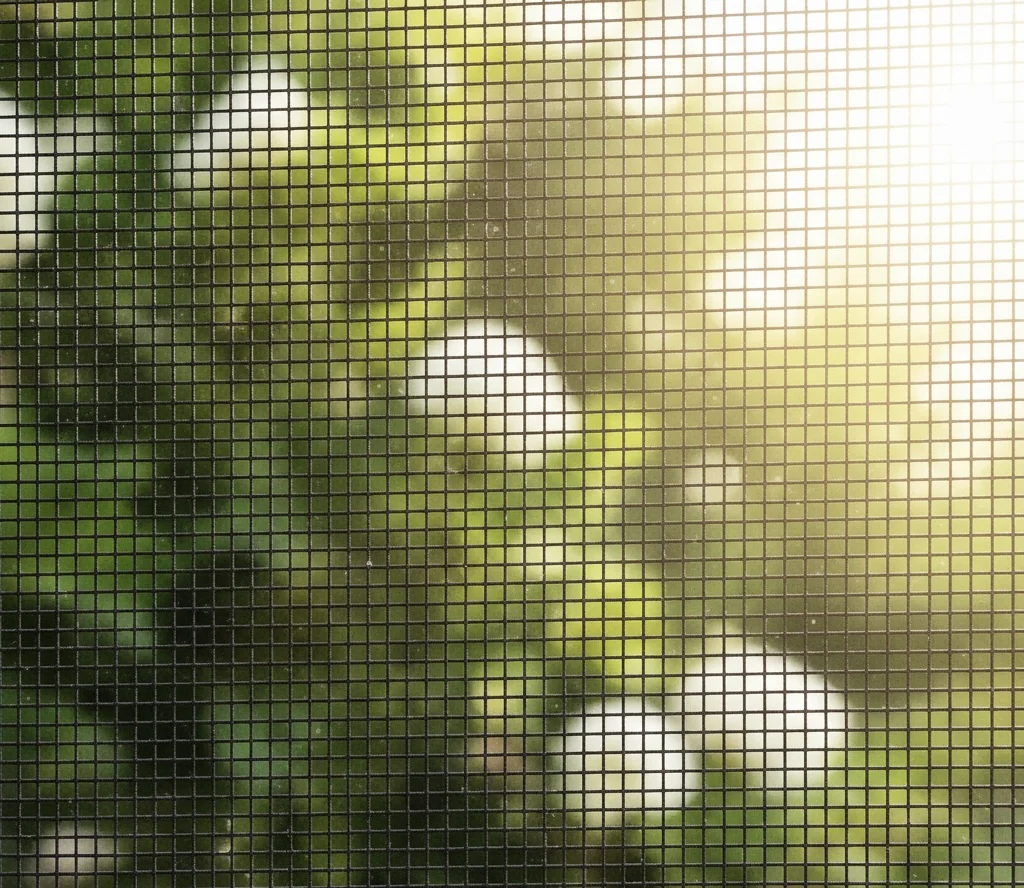 Warm sunlight glows through lush leaves and blooms behind a mesh screen, adding privacy and a soft touch to your outdoor space. by Custom Blinds Shutters & Awnings, Knysna, Garden Route, South Africa