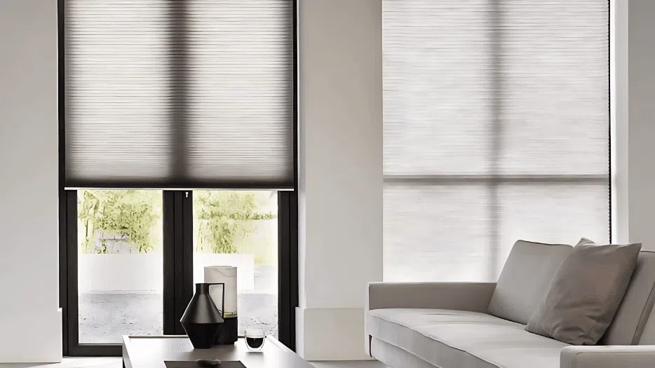 Honeycomb Blinds in a Living Room