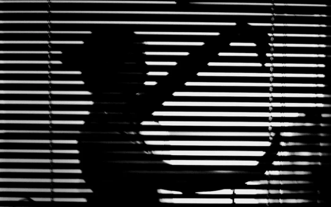 Venetian Blinds Privacy Guide: 3 Expert Tips for Light & Mood