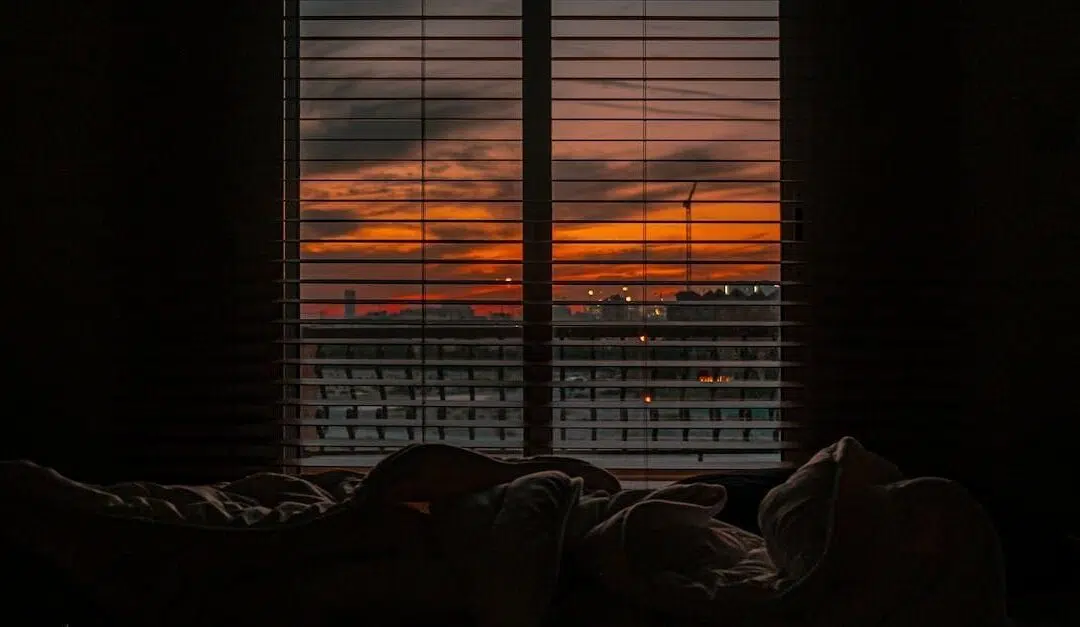 Top Types of Blinds for South African Homes