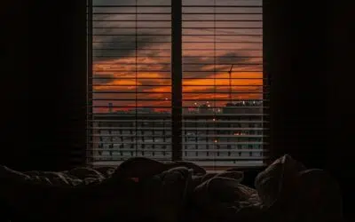 Top Types of Blinds for South African Homes