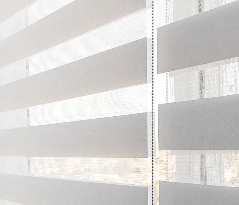Double Roller Zebra Blinds: Showroom Quality Guide for South Africans 2025