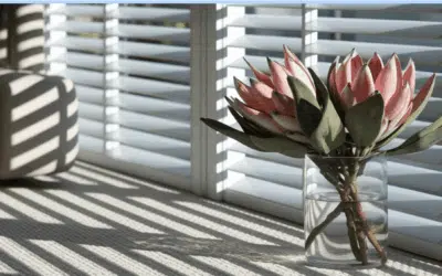 Finding the Perfect Window Coverings for Your South African Home