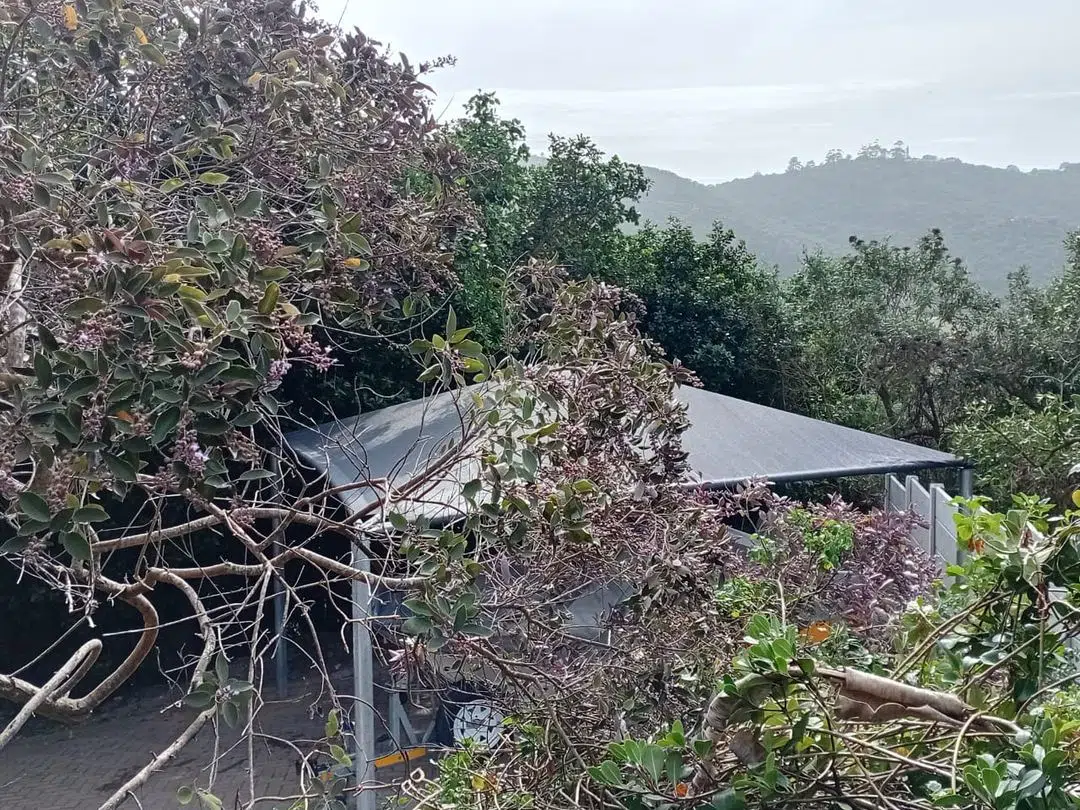 Wilderness shadeport tucked into indigenous bush with Outeniqua mountain backdrop. Custom Blinds shade net structure, Garden Route, May 2026.