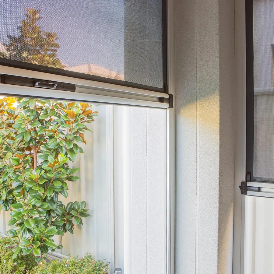 Ziptrak® track-guided mesh blinds on two windows, one locked part-way down, a magnolia tree outside, from Custom Blinds Shutters & Awnings, authorised Ziptrak® agent, Garden Route, South Africa. Image credit Ziptrak®